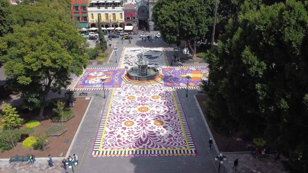 tapete en Zócalo de Puebla (1)